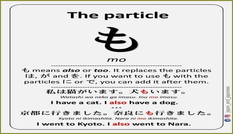 Discover The Meaning Of 